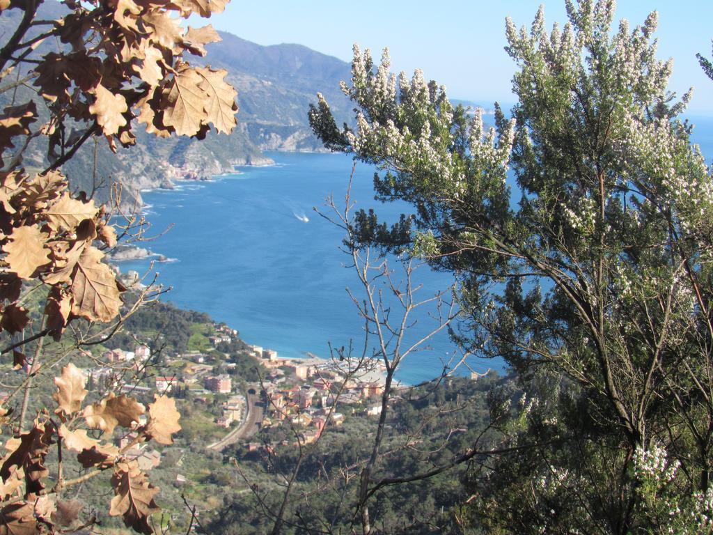 Green Quiet Affittacamere Pignone Exterior foto